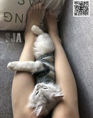 日韩在线电影网站_HD高清完整电影