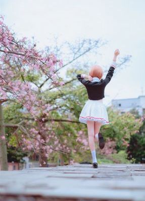八戒八戒影视在线观看免费下载_DVD高清完整版播放